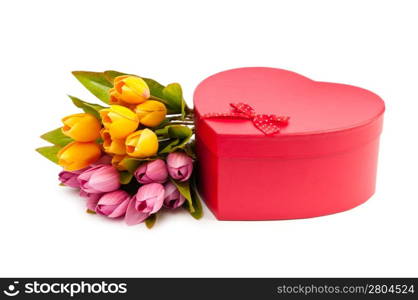 Giftbox and tulips isolated on white