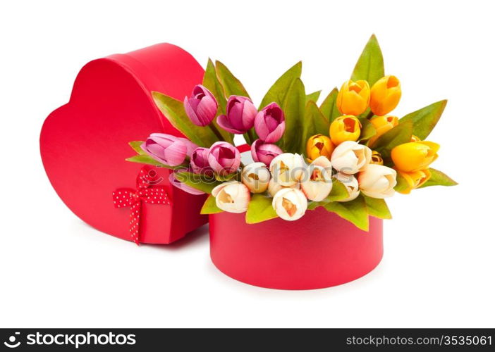 Giftbox and tulips isolated on white