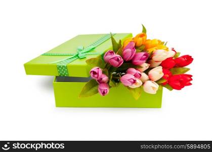 Giftbox and tulips isolated on white