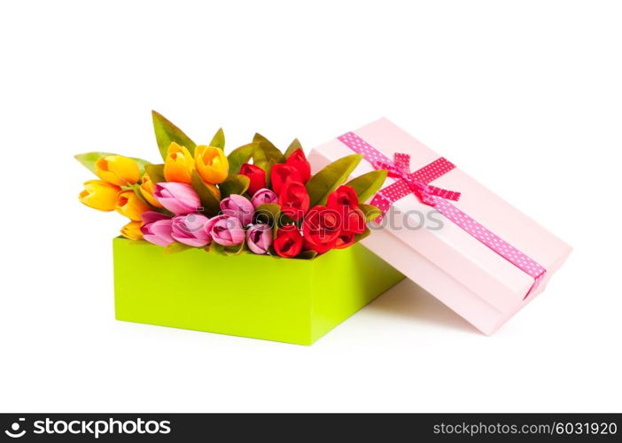 Giftbox and tulips isolated on white