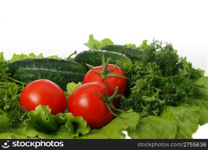 Gifts of the nature. Tomatoes, cucumbers, greens - fresh vegetables.