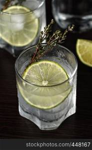 Gin and tonic with a slice of lime and sprigs of thyme