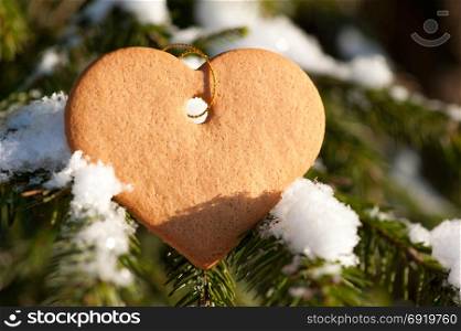 ginger cookies in the shape of heart on a spruce branch in the forest