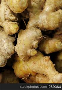 ginger in the market