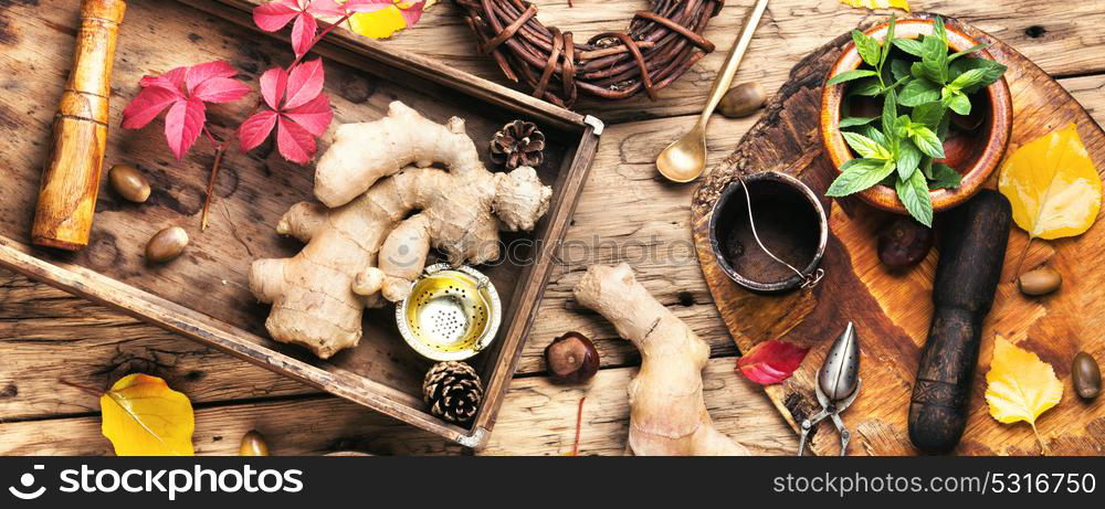 Ginger root for tea. Ginger root and natural medical ingredients for medicinal tea and tinctures