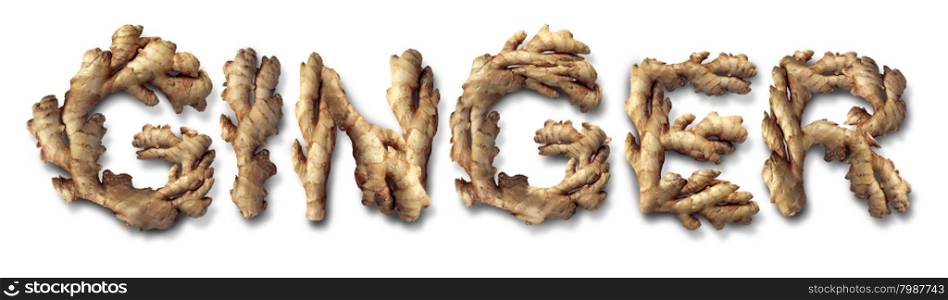 Ginger root health food concept as the asian vegetable shaped as text as a symbol and icon to a healthy diet
