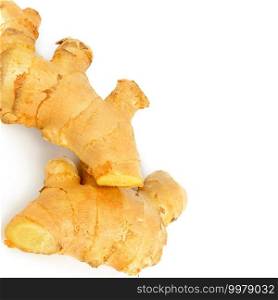 Ginger root isolated on white background. herb medical concept. Free space for text.