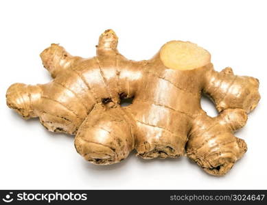 Ginger Root Meaning Spiced Herbal And Fresh