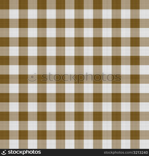 Gingham 19