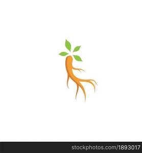 Ginseng Vector illustration. Ginseng root logo symbol