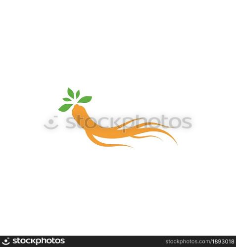Ginseng Vector illustration. Ginseng root logo symbol