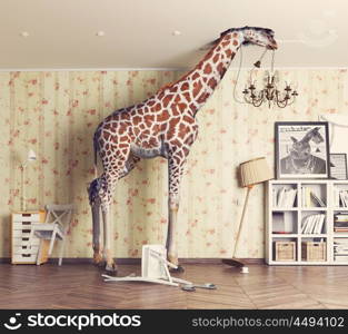 giraffe breaks the ceiling in the living room. Photography combination concept