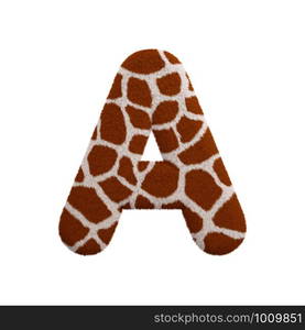 Giraffe letter A - Capital 3d Giraffe fur font isolated on white background. This alphabet is perfect for creative illustrations related but not limited to Safari, Wildlife, Africa...