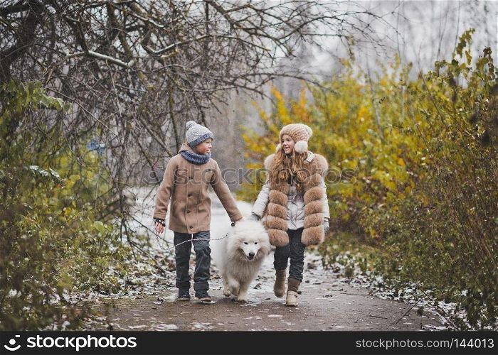 Girl and boy on a walk with the dog breed Samoyed.. Autumn walk children in company with the Samoyed dog 9837.