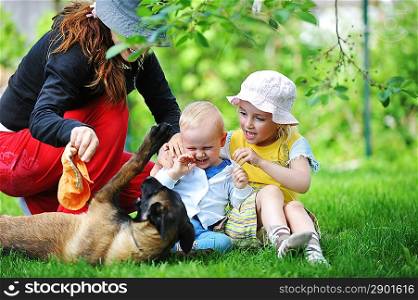girl and her little brother playing with dog on grass