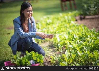 Girl and planting vegetables for eating at home