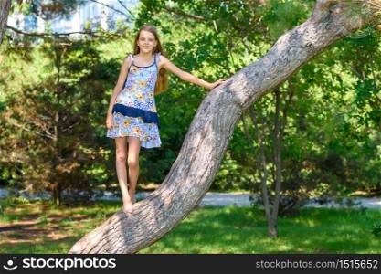 Girl climbed a tree in a city park