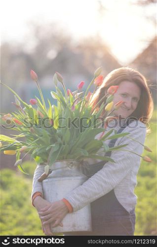 girl collects a bouquet of tulips in the garden against the backdrop of the sunset. spring and gardening