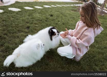 girl cute white puppies playing high view