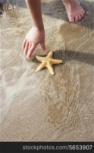 Girl Discovering Starfish On Beach