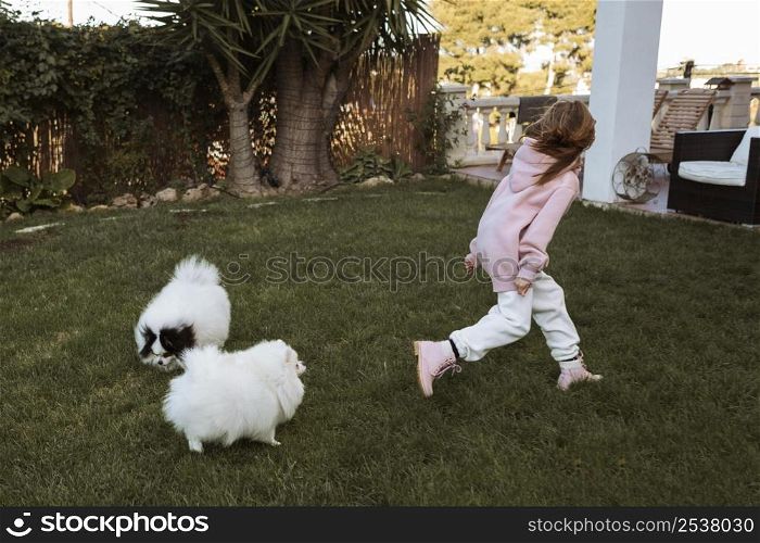 girl dogs running playing