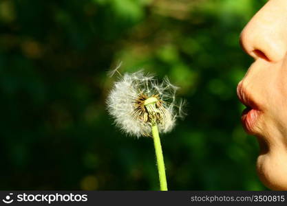 girl face blow on white dandelion