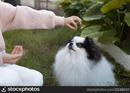 girl feeding her dog treat