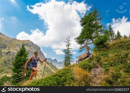 Girl hiker meets ibex in the mountains and he does escape