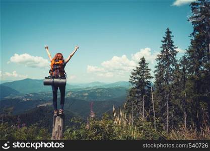 girl hiker with a backpack standing on the background of mountains and forests. Carpathians, Ukrainian landscape.