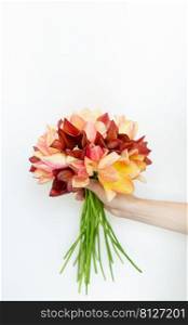 Girl holding a bouquet of fresh red-yellow tulips on a white background with copy space. Place for an inscription. Girl holding a bouquet of fresh red-yellow tulips on a white background with copy space. Place for an inscription.