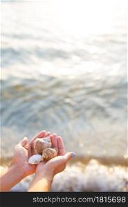 girl holding different seashells in hands on the background of the sea.. girl holding different seashells in hands on the background of the sea