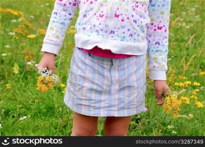 Girl holding flowers in hand green spring meadow