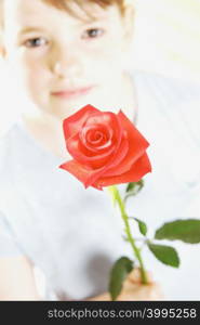 Girl holding red rose