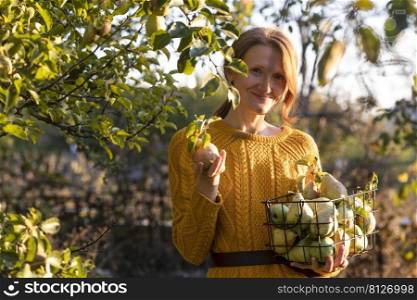 girl holds  basket  with juicy pears  in the garden. aesthetics of rural life 
