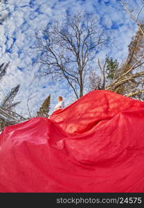 girl in red dress. Forest in winter