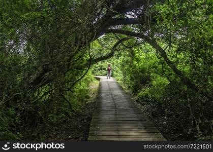 girl in the walkway through the vegetation