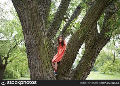 Girl in Tree