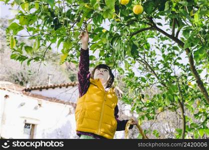 girl lemon tree