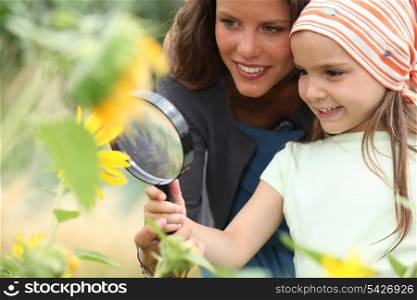Girl looking at sunflower