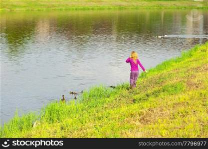 girl looking at the ducks with ducklings