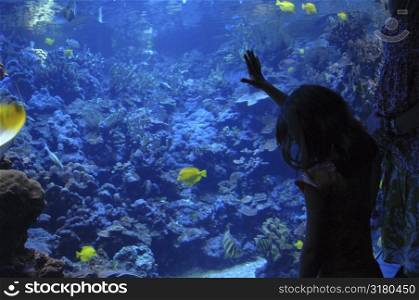 Girl looking in aquarium