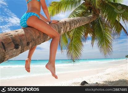 Girl on palm on caribbean beach