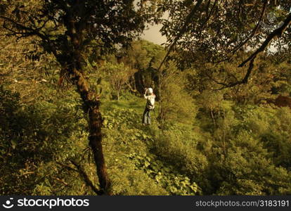 Girl on zip line ride