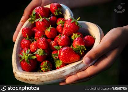 Girl or young woman hands holding a wooden heart shaped bowl of freshly picked red strawberries