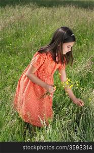 Girl Picking Flowers From Meadow