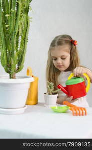 Girl playing in the gardener. Waters of a large cactus in the pot, standing next to a small cactus, a large lake, paddle