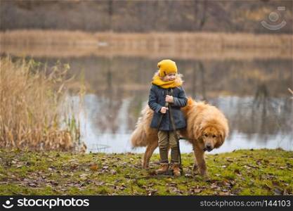 Girl playing with a big guard dog at autumn lake.. Childrens games with your favourite four-legged friend 9818.