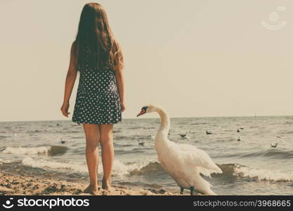 Girl playing with adult swan.. Care and safety of animals. Little girl kid feeding playing with beautiful swan. Child having fun with big white sea bird.