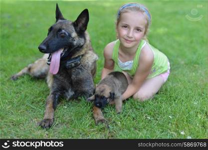 girl playing with dogs on grass