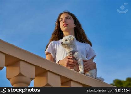 Girl playing with maltichon dog in a balconade. Girl playing with maltichon puppy dog in a balconade balustrade
